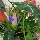 만석동 행정복지센터 이미지