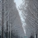 고향 - 서구 | 고향