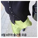 4월 4주차 출근룩 모음 - SIE 시에 /사색 / 토와브 / 리본빛 / 틸아이다이