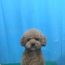 엉클장동물병원 이미지