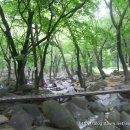 청룡동-2 이미지