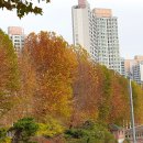 세화여자중학교 이미지