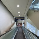 파파모터스 | 포항 실내 아이랑 갈만한 곳 추천 포항 키즈카페 추천 앨리스파파 키즈파크 내돈내산 솔직후기