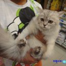 상아동물병원 이미지