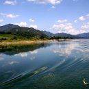 황금가든 이미지