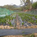 청솔슈퍼 이미지