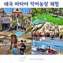 큰바위농장 | [공지] 태국 파타야 백만년 바위공원 악어농장 먹이주기체험