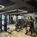 투투gym 이미지