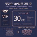 의정부 펫인쥬 분양/ 예쁘고 사랑스러운 크림푸들