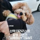 고집 - 동작구 여의대방로10길 38 | 고집