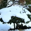 함평자연생태공원 이미지