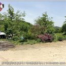 내서면 노류리 이미지