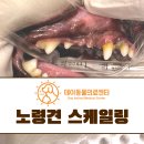 데이동물의료센터 이미지