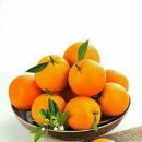 오렌지나이트 이미지