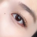 엘속눈썹 | ✨ 여름 필수템, 속눈썹 연장! 안양 ‘엘뷰티끄’ 후기 💕