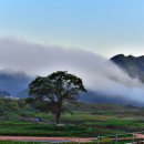 산장의 여인 이미지