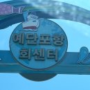 영이네식당 | [영이네 물회 전문점] 영종도 예단포 맛집 내돈내먹 후기 (반려동물 동반 가능)