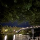 담빛시네콘서트 이미지