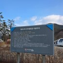 봉화 | 경북여행몰 할인혜택 아이와 겨울여행 봉화 산타캠핑장 글램핑 후기