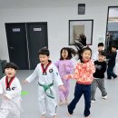 인성품태권도장 이미지