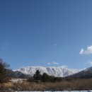 차향으로 만나는 다도 이미지