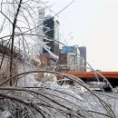 얼음꽃 - 고양시 일산서구 킨텍스로 255 | 얼음꽃
