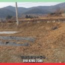 내가면-5 이미지