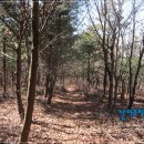 대남환경 이미지