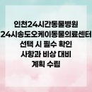내포동물병원 | 인천24시간동물병원 24시송도오케이동물의료센터 선택 시 필수 확인 사항과 비상 대비 계획 수립
