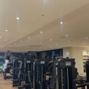 스포데이 휘트니스 두정점 이미지