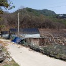 용수농장 이미지