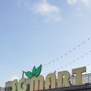 풍성한마트 이미지