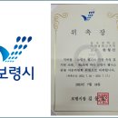 보령푸드