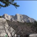 삼성임업