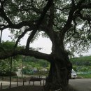 단산경로당 이미지