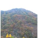 장태산휴양림 이미지