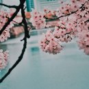 서시천자전거길2 이미지