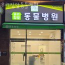 우리집앞동물병원 이미지