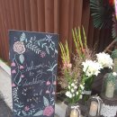 아모르 하우스 이미지