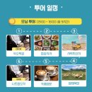 새벽도착, 베나자 판랑해돋이투어에서 판랑모닝투어로...임산부 내돈내산 후기(사진 많음/상세일정 포함)