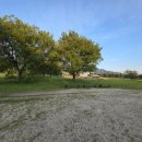 게이트볼장 옆 이미지