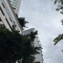 빕스 얌 딜리버리 강서점 | 빕스프리미어 목동41타워점｜뷰맛집 내돈내산 평일 디너 샐러드바 SKT 할인 고객감사제