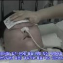 식탐 이미지