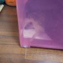 몽몽 Daum카페