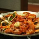 기장꼼장어 이미지