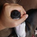 신라약국 이미지