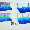 허브앤다이어트