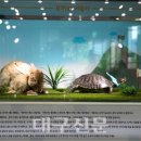 국립낙동강생물자원관 이미지