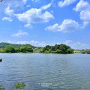 그린좌대1 낚시터 이미지