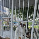 홍도야7080 | [구석구석 특집] 18탄 - 경주 여행 (경주 가볼만한 곳 추억의달동네)